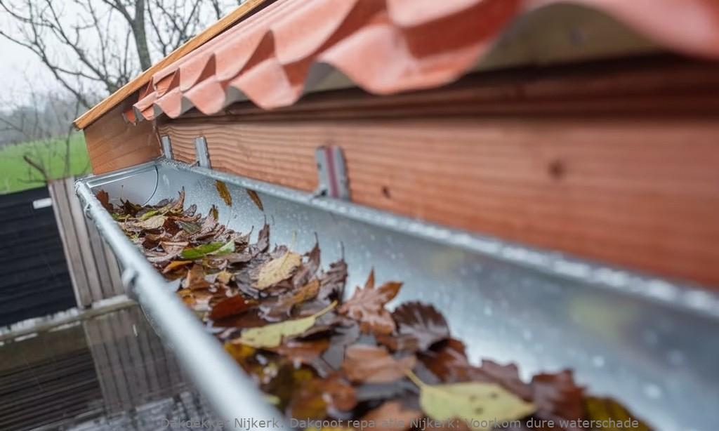 Dakgoot Reparatie Nijkerk 1