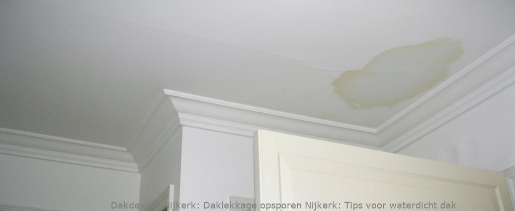 Daklekkage Opsporen Nijkerk 1